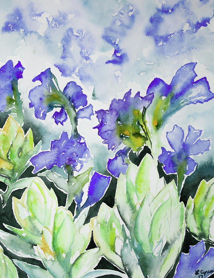 Watercolor - Rocky Mountain Wildflowers Painting by Cascade Colors