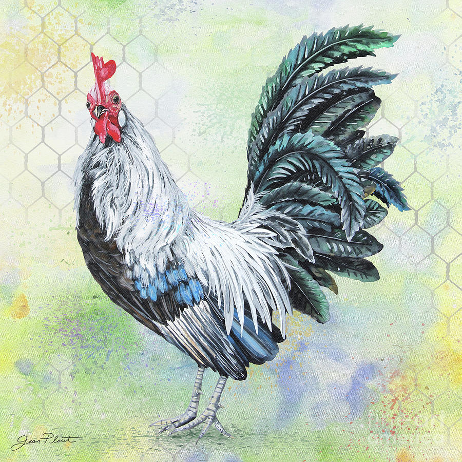 Watercolor Rooster-C Painting by Jean Plout