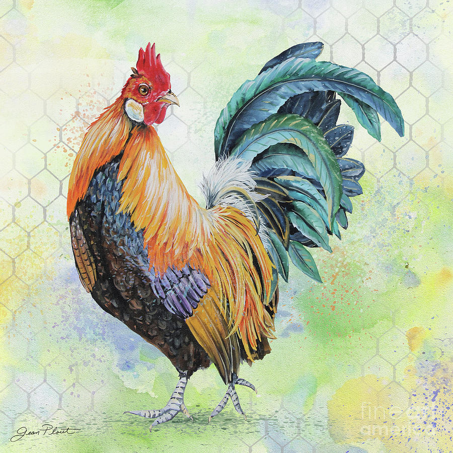 Watercolor Rooster-D Painting by Jean Plout