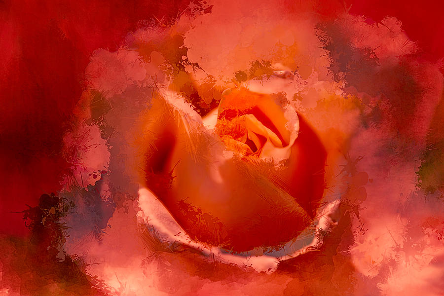 Watercolor Rose 4 Digital Art by Terry Davis
