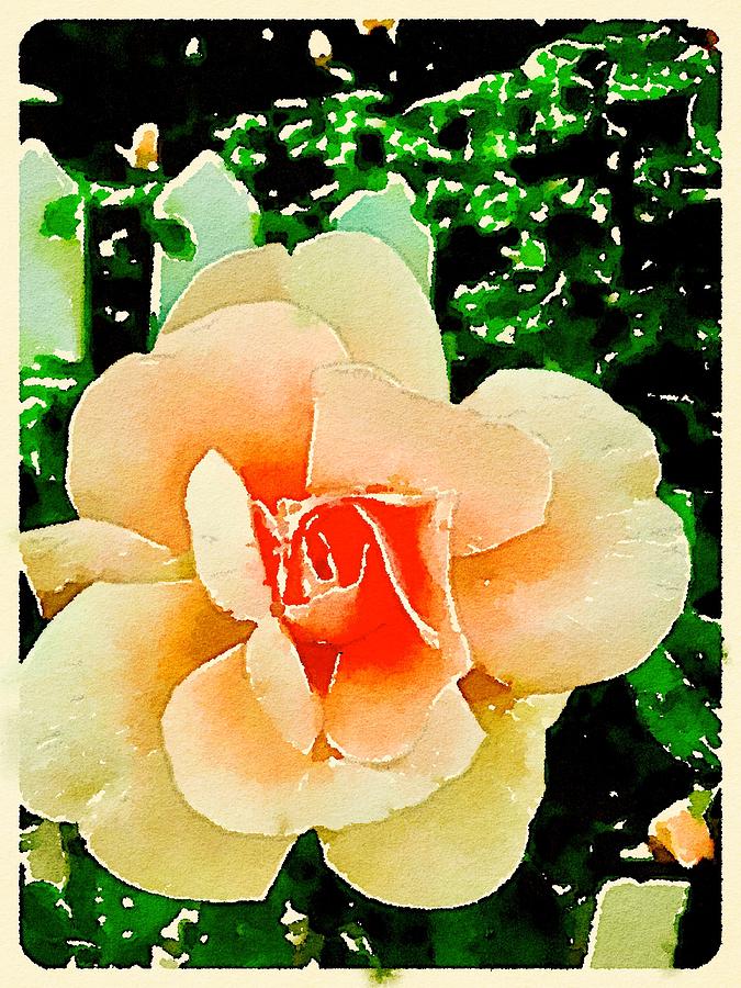 Watercolor Rose Photograph