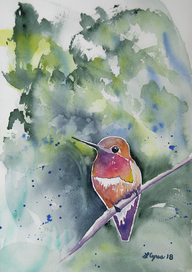 Watercolor - Rufous Hummingbird Portrait Painting by Cascade Colors