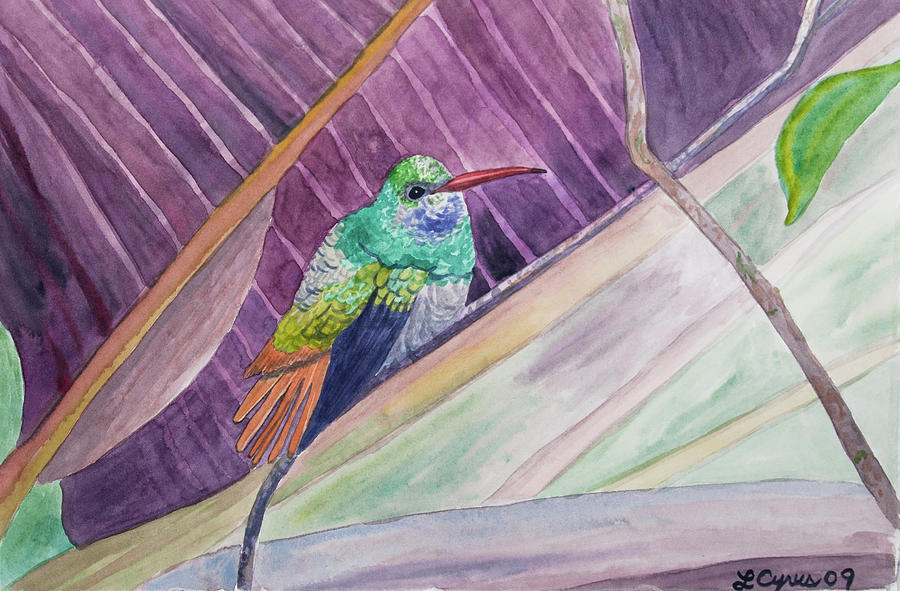 Watercolor - Rufous-tailed Hummingbird Painting by Cascade Colors