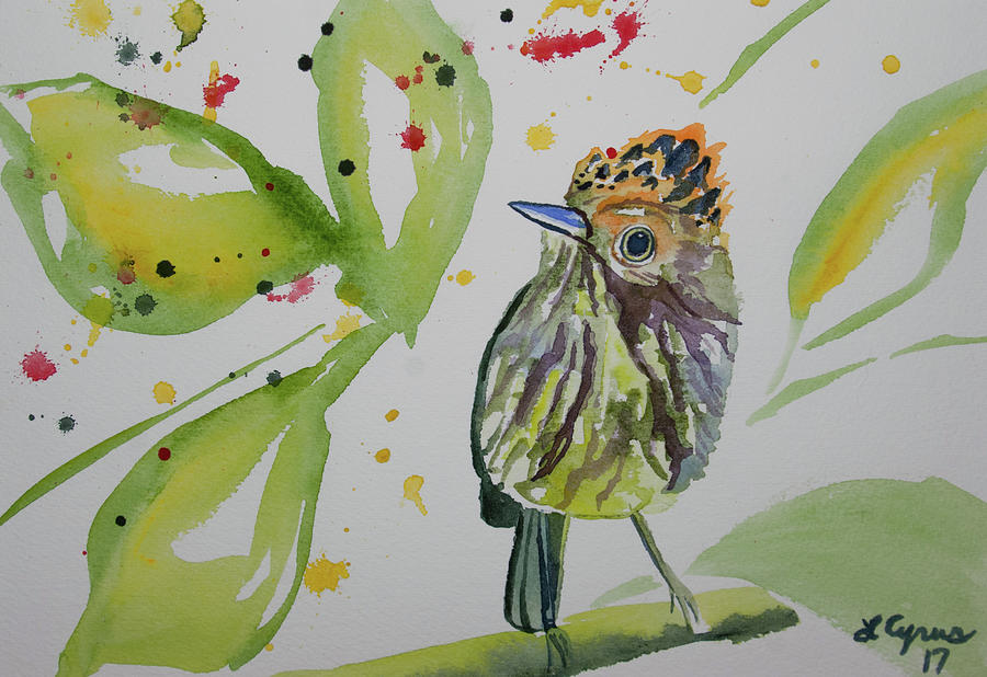 Watercolor - Scale Crested Pygmy Tyrant Painting