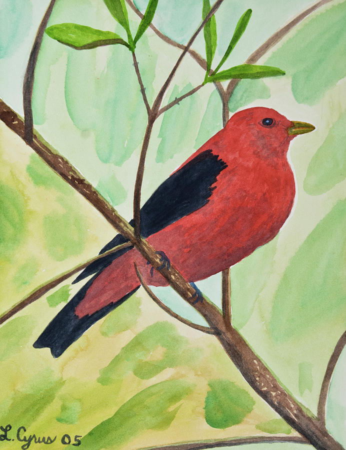 Watercolor - Scarlet Tanager Painting by Cascade Colors