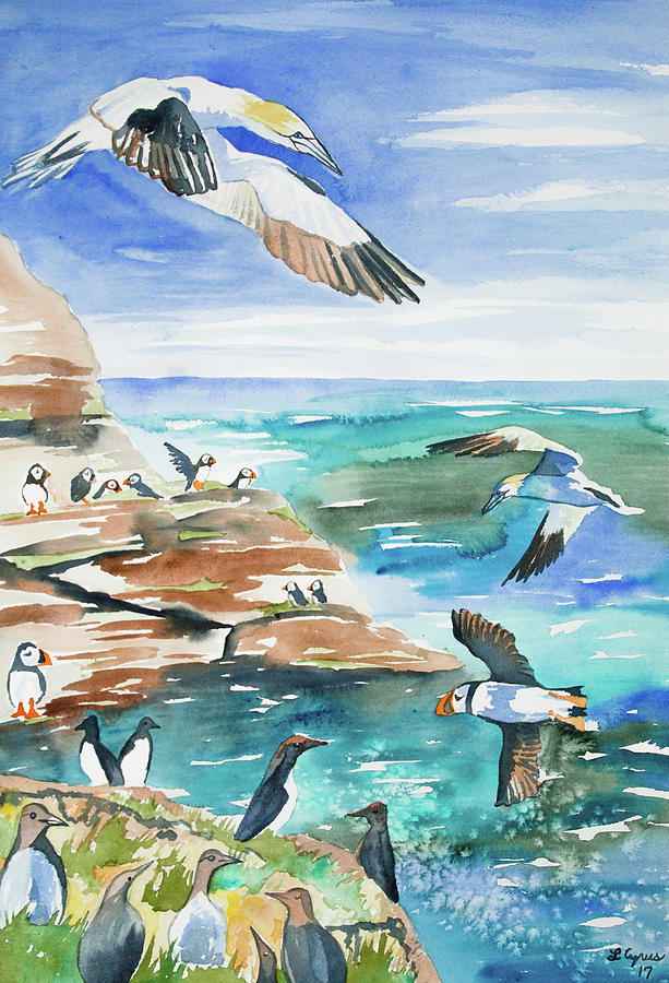 Watercolor - Seabirds of the North Atlantic Painting by Cascade Colors