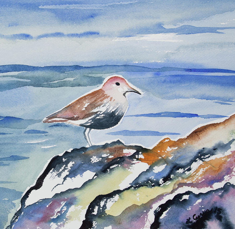 Sandpiper Painting - Watercolor - Shorebird and the Sea by Cascade Colors