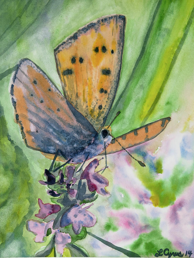 Watercolor - Small Butterfly on a Flower Painting by Cascade Colors
