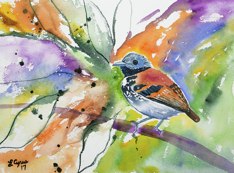 Watercolor - Spotted Antbird Painting by Cascade Colors