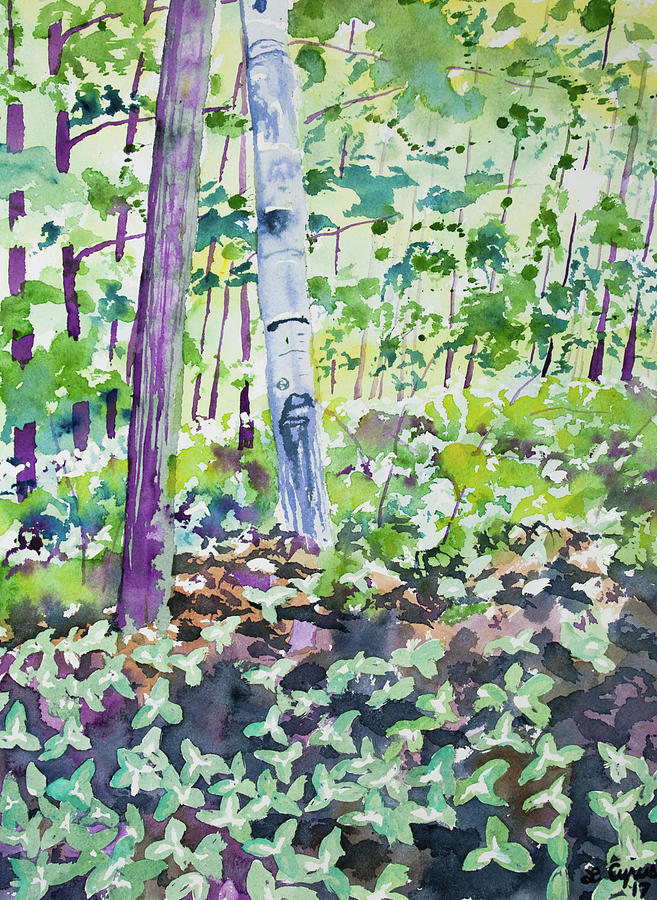 Watercolor - Spring Trillium in the Forest Painting by Cascade Colors