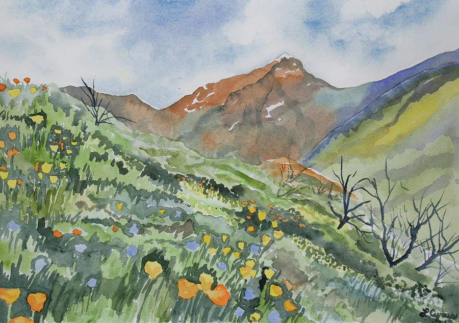 Watercolor - Springtime Above Kings Canyon Painting by Cascade Colors