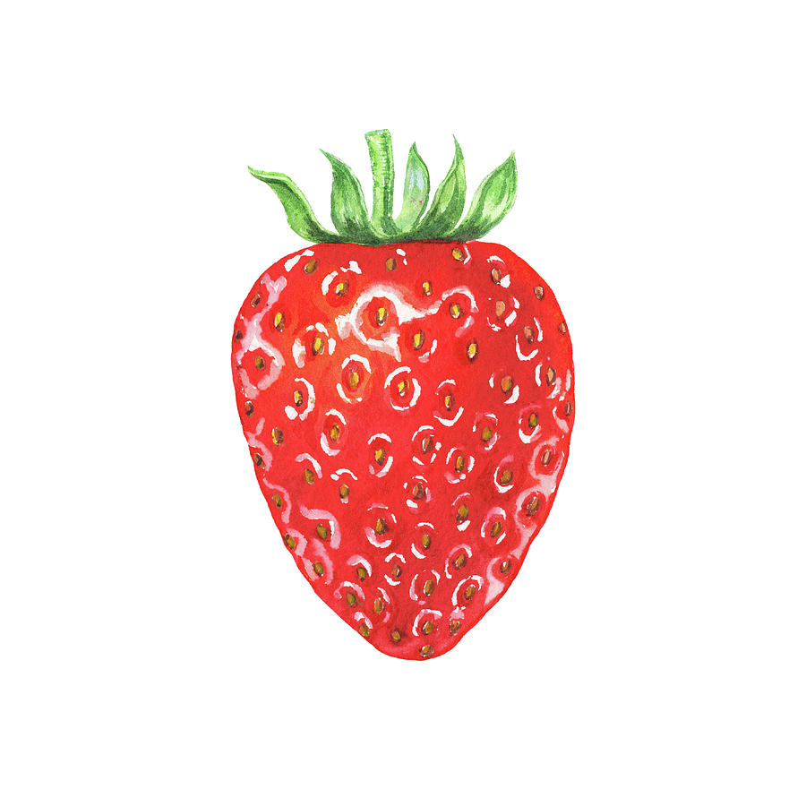 Watercolor Strawberry Painting