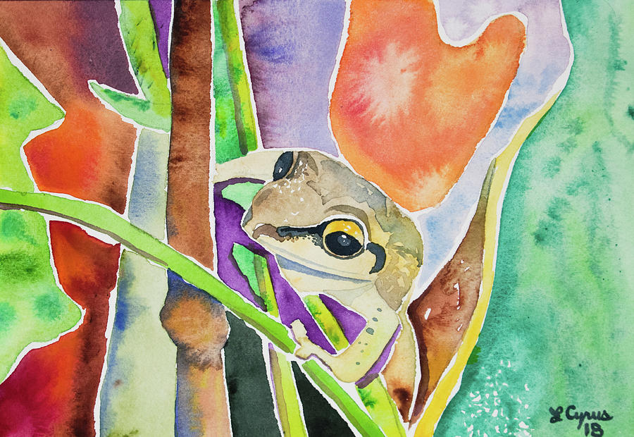 Watercolor - Tree Frog at Maquipucuna Ecuador Painting by Cascade Colors