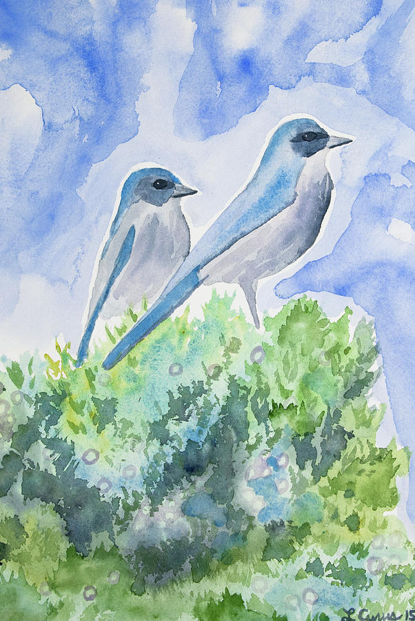 Watercolor - Western Scrub Jays and Juniper Painting by Cascade Colors