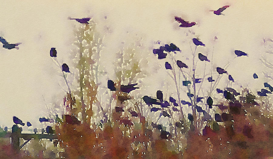 Watercolor Wings Photograph by Susan Maxwell Schmidt