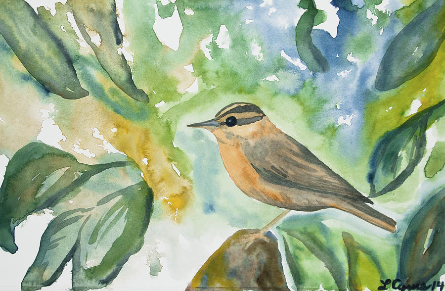 Watercolor - Worm-eating Warbler Painting by Cascade Colors