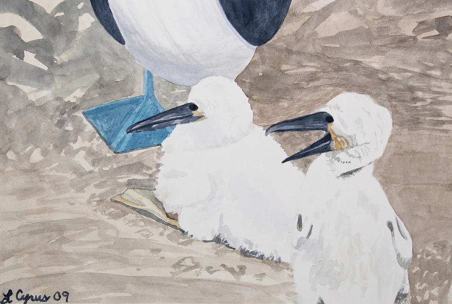 Watercolor - Young Blue-footed Boobies Painting by Cascade Colors