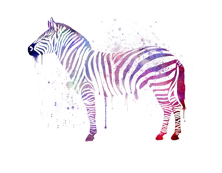 Unique Digital Art - Watercolor Zebra by Thubakabra