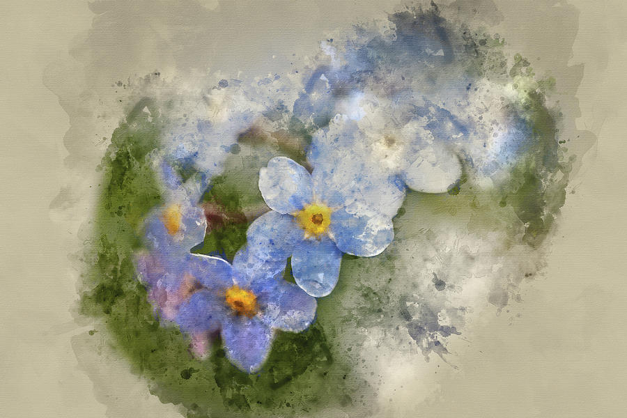 Watercolour Painting Of Beautiful Forget Me Not Spring Flowers With Shallow Depth Of Field Photograph By Matthew Gibson