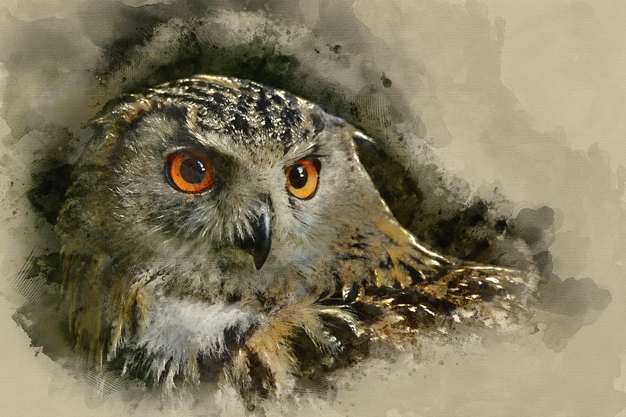 Watercolour painting of Beautiful portrait of European Eagle Owl bubo bubo Photograph by Matthew Gibson