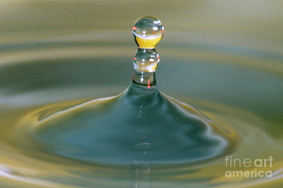 Waterdrop Photograph by Heiko Koehrer-Wagner