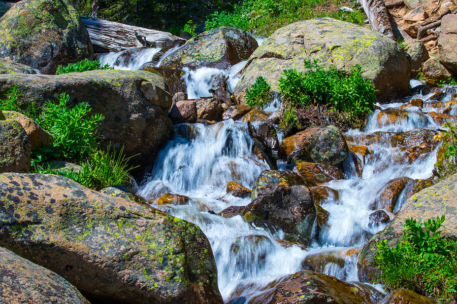 Waterfall 1 Berthoud Pass Photograph by Mindy Musick King