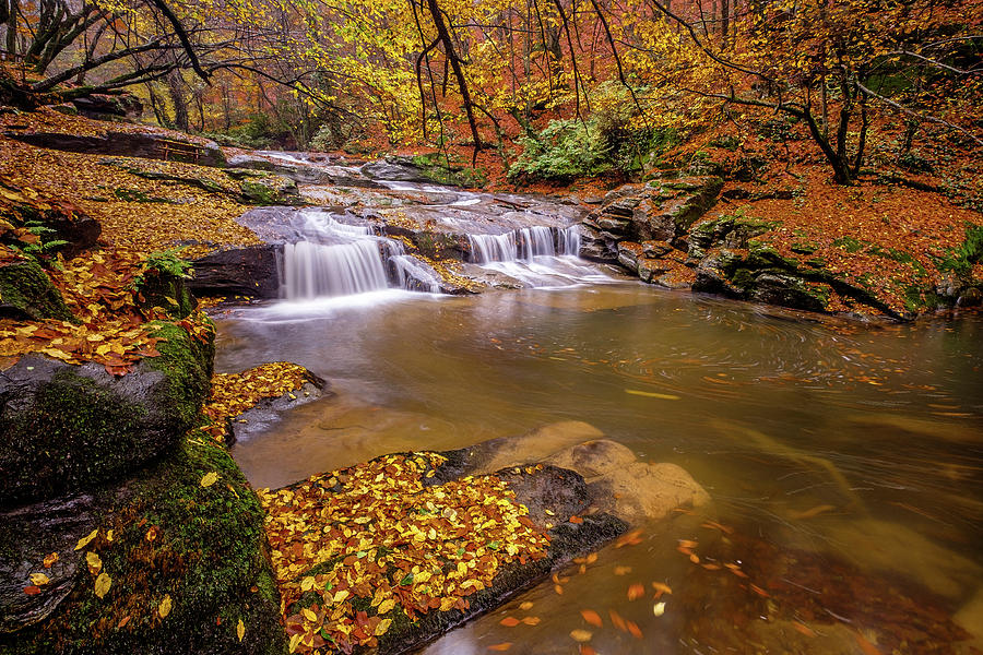 Waterfall-6 Photograph by Okan YILMAZ - Fine Art America