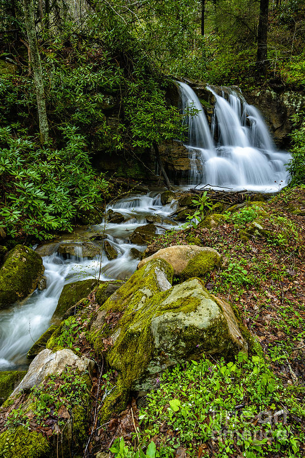 Spring Photograph - Waterfall along Back Fork of Elk River by Thomas R Fletcher
