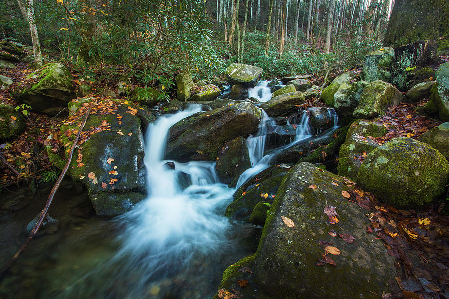 Waterfall Along Roaring Fork in Smoky Mountains Photograph by Carol ...