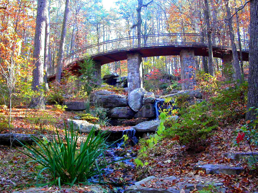 Waterfall and a Bridge in the Fall Photograph by Anne Cameron Cutri