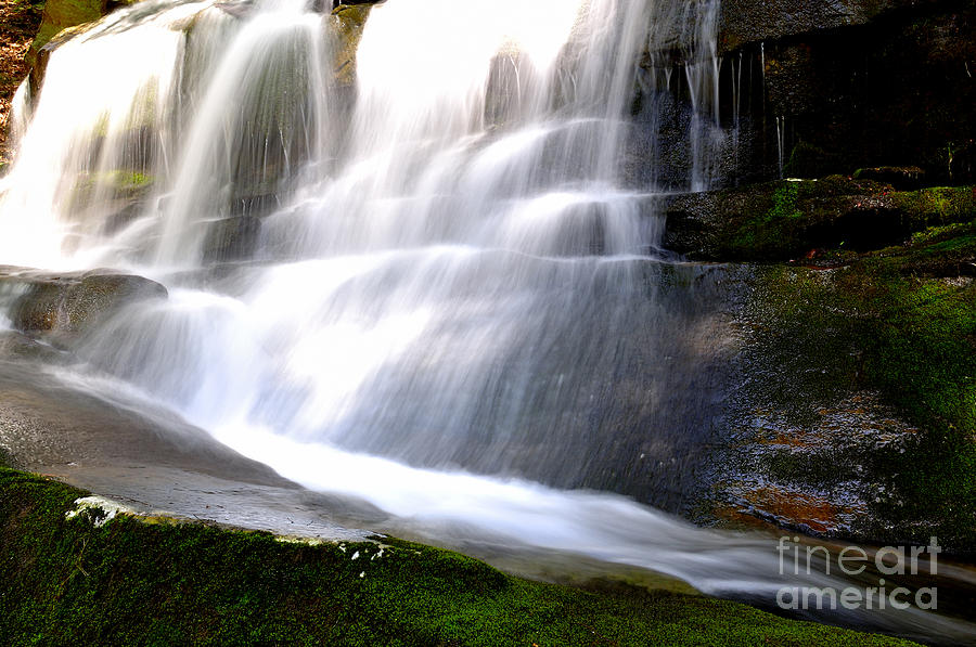 West Virginia Photograph - Waterfall and Moss by Thomas R Fletcher