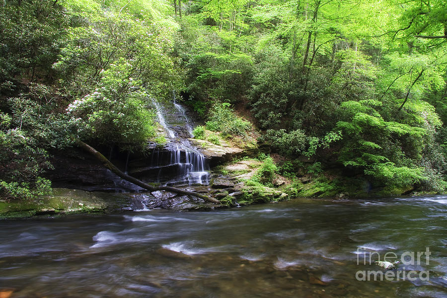 Waterfall And Mountain Creek Photograph