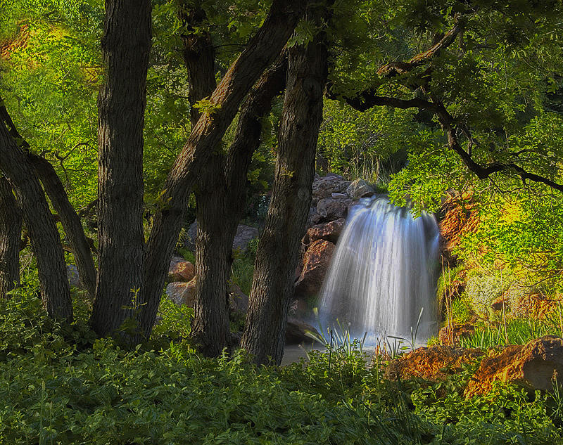 Waterfall And Oak Trees Photograph