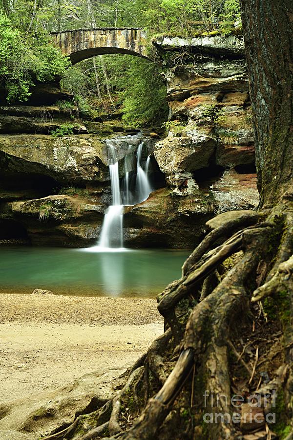 Waterfall and Roots Photograph by Larry Ricker