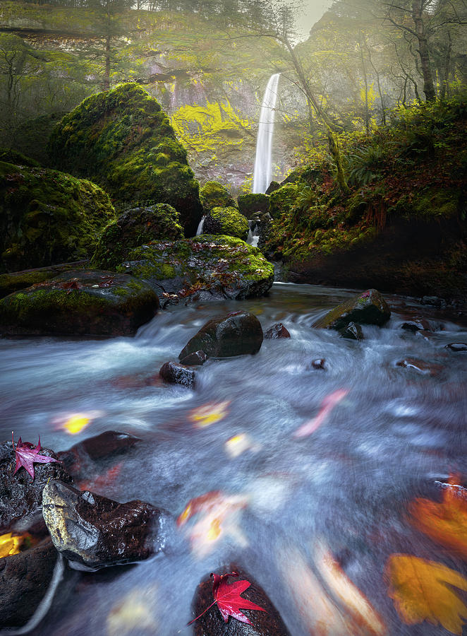 Waterfall and stream with fluxing autumn leaves Photograph by William Lee