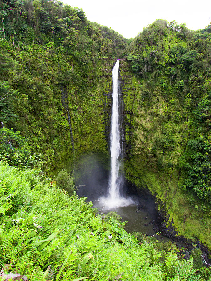 Waterfall at Akaka Park Photograph by Phil Welsher