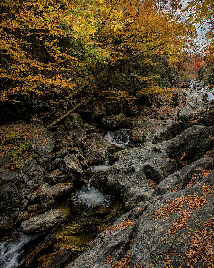Waterfall at Sams Branch in Fall Photograph by Kelly VanDellen
