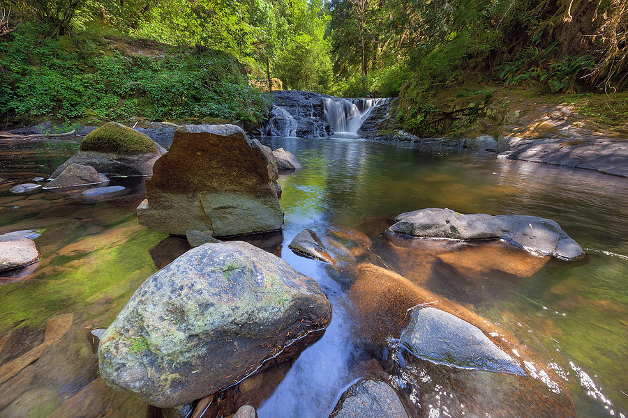 Tree Photograph - Waterfall at Sweet Creek Falls Trail by Jit Lim
