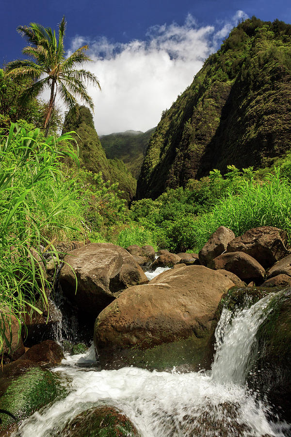 Waterfall At The Iao Needle Photograph by James Eddy