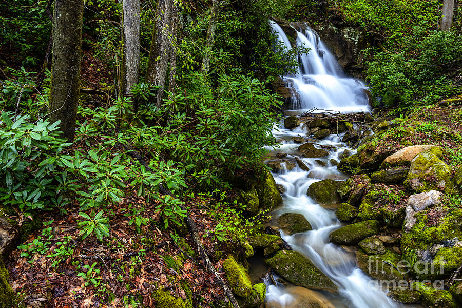 Waterfall Back Fork Of Elk River Photograph