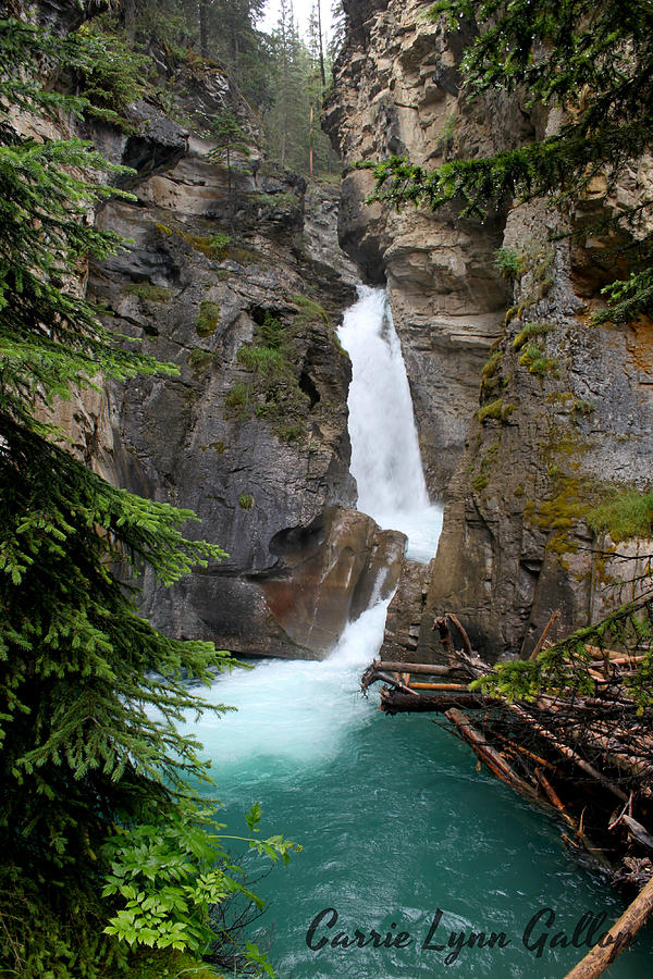 Waterfall Photograph by Carrie Gallop - Fine Art America