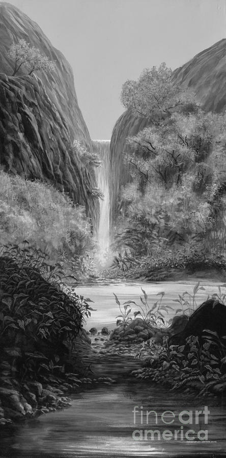 Black And White Painting - Waterfall by Chris Griffith