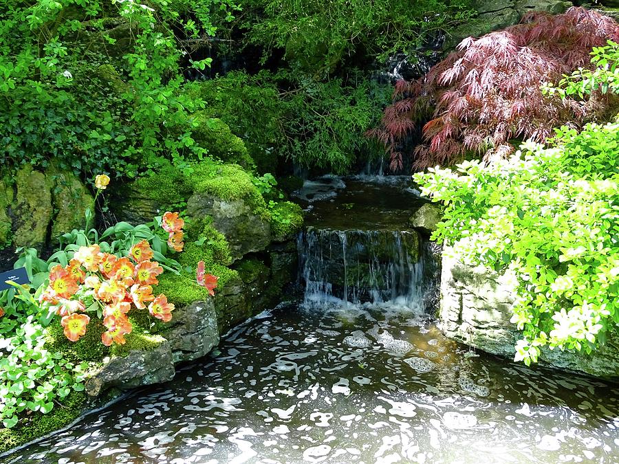 Waterfall in Holland Photograph by Chuck Stewart - Fine Art America