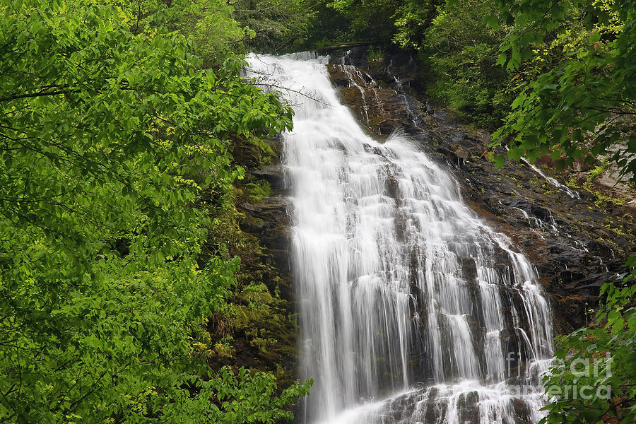 Waterfall Closeup Photograph