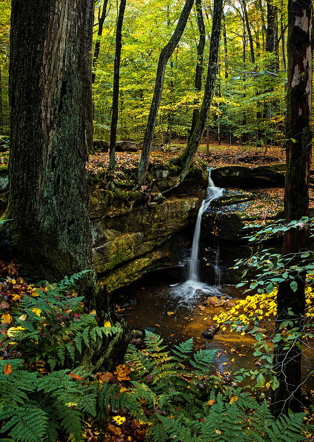 Nature Photograph - Waterfall Dreaming by Jackie Sajewski