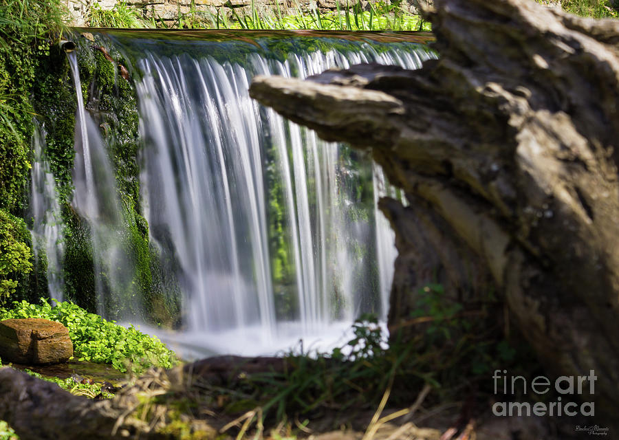 Waterfall Focused Photograph by Jennifer White