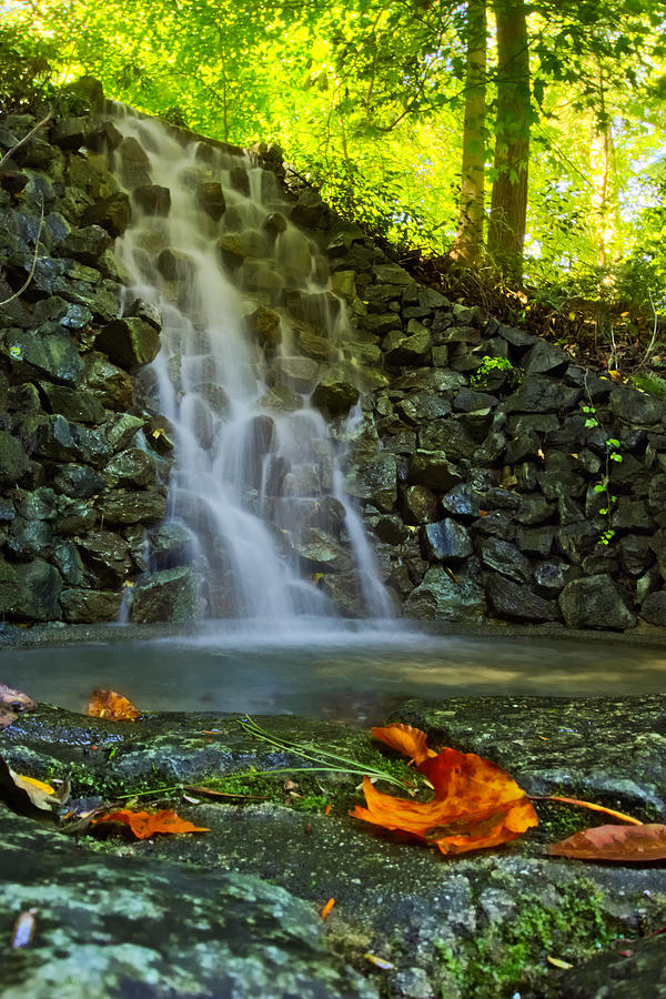 Waterfall Foliage Photograph by Amanda Jones