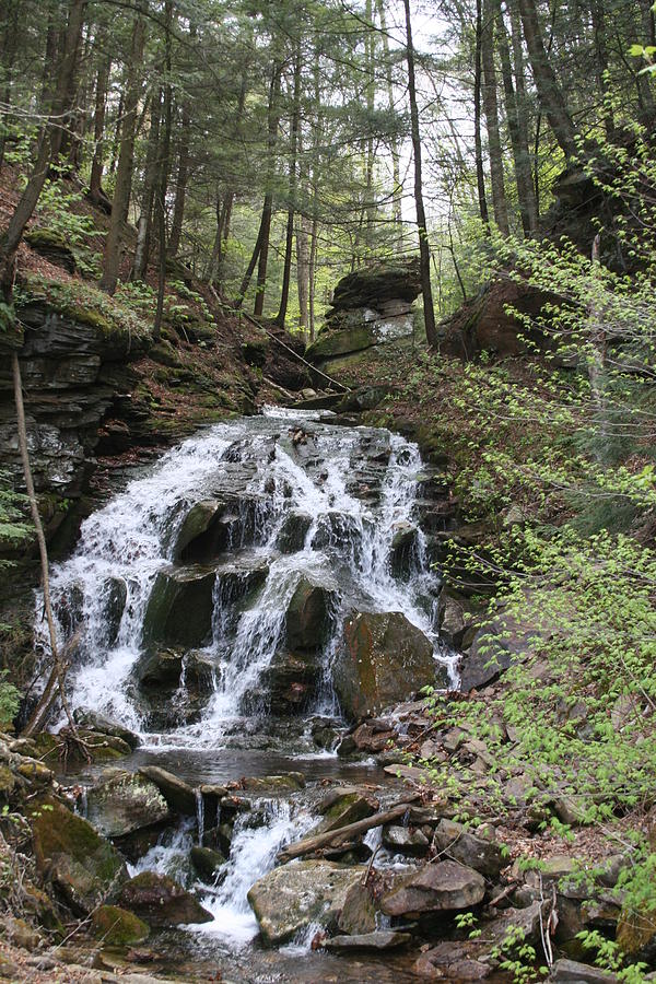 Waterfall Fundy National Park NB Canada Photograph by Hal Longue - Fine ...