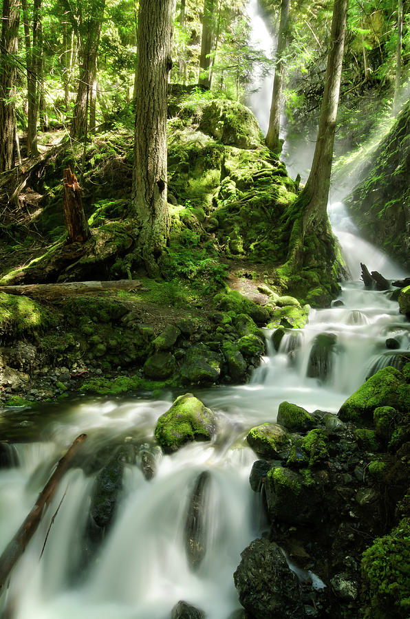 Waterfall Grotto Photograph by Margaret Goodwin - Fine Art America