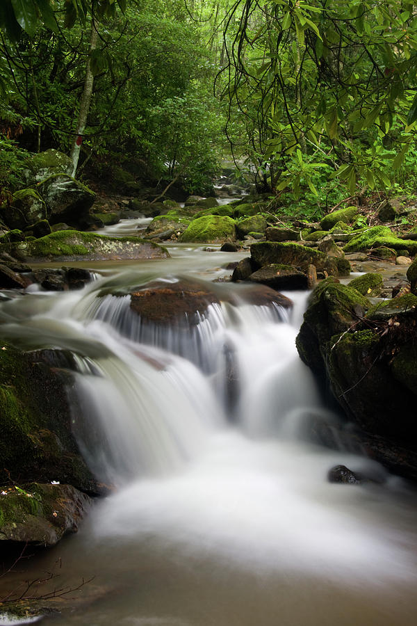 Waterfall in a Creek Photograph by Jill Lang